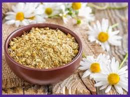 Organic Chamomile Flowers - Herbal Tea for Relaxation & Sleep